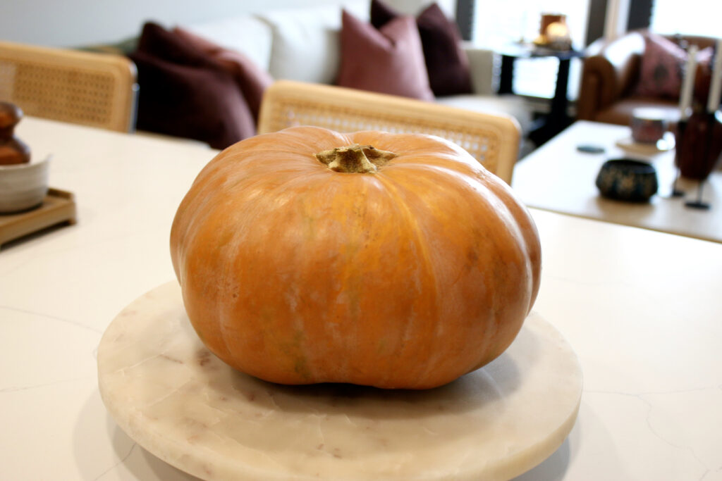 medium sized pumpkin